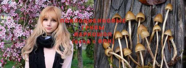 дурь Абинск