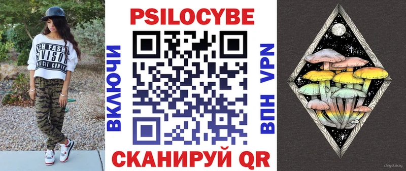 Псилоцибиновые грибы Cubensis  Стрежевой 
