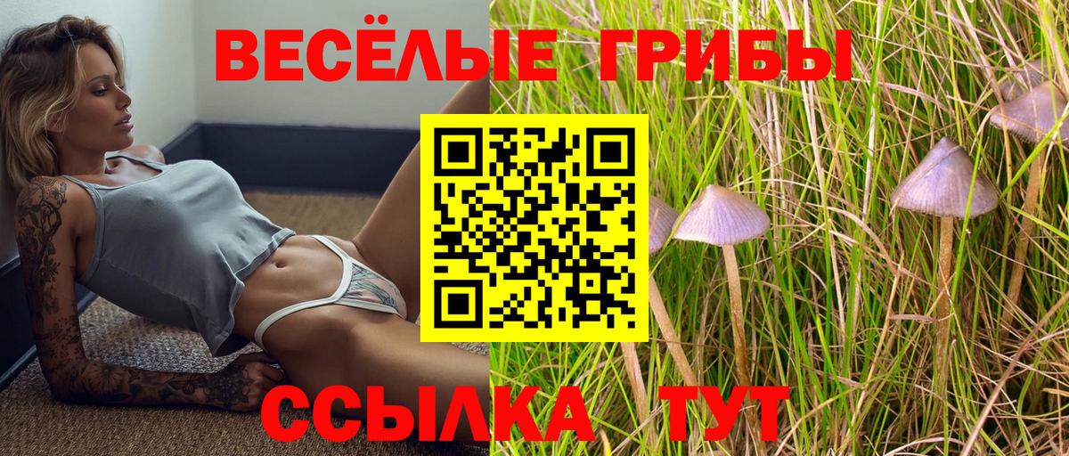 Галлюциногенные грибы Psilocybine cubensis Стрежевой