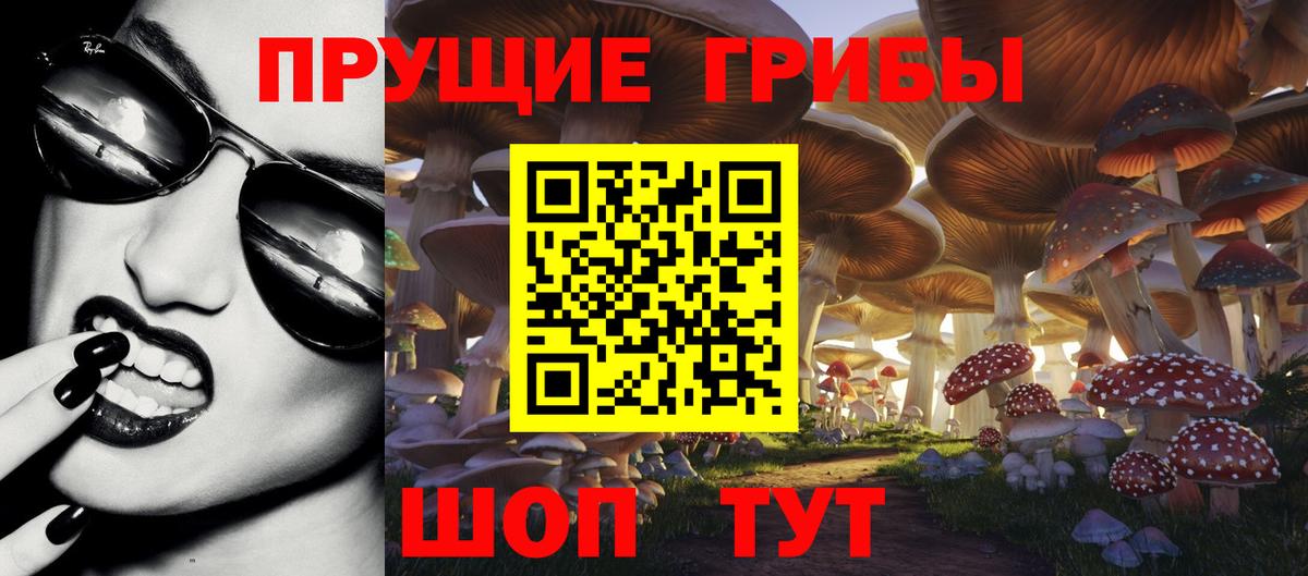 Псилоцибиновые грибы Cubensis  Вход с VPN  Стрежевой 